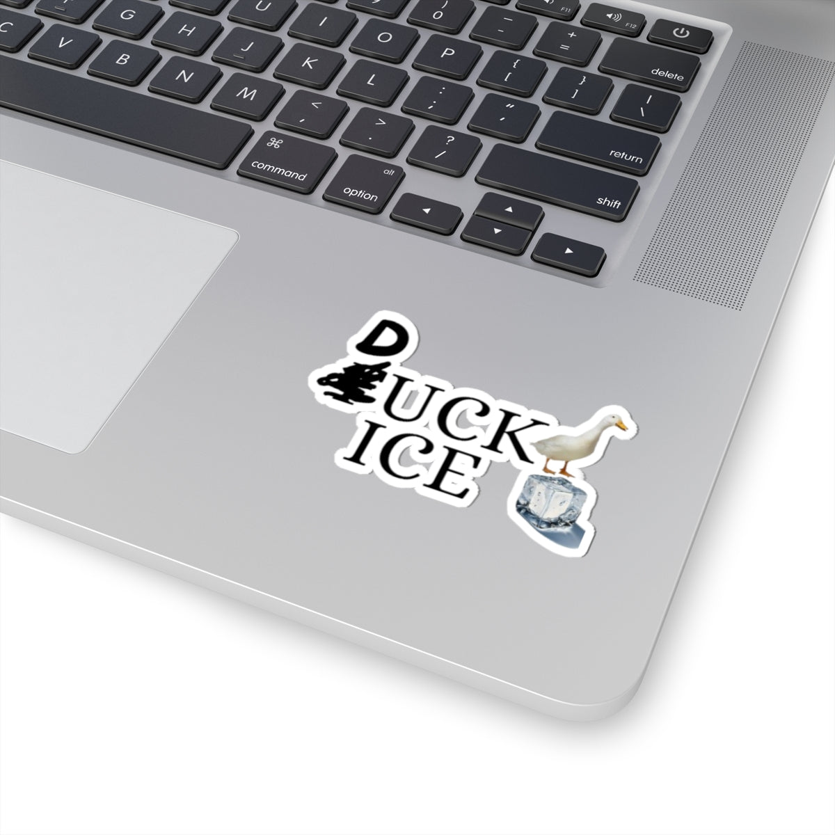Duck ICE Sticker